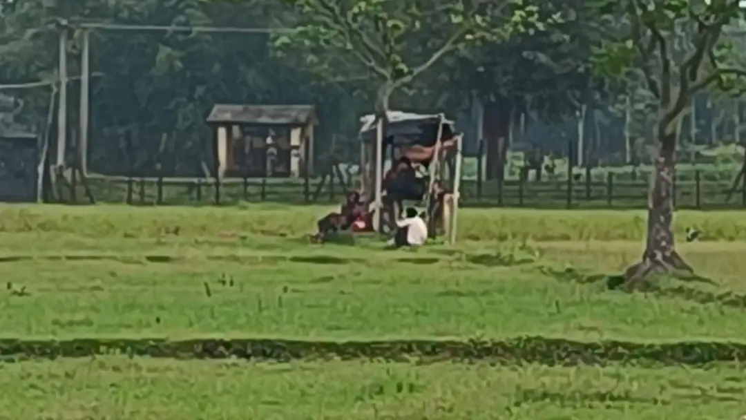 লালমনিরহাটের তিন সীমান্তে ৩৩ জনকে পুশইনের চেষ্টা